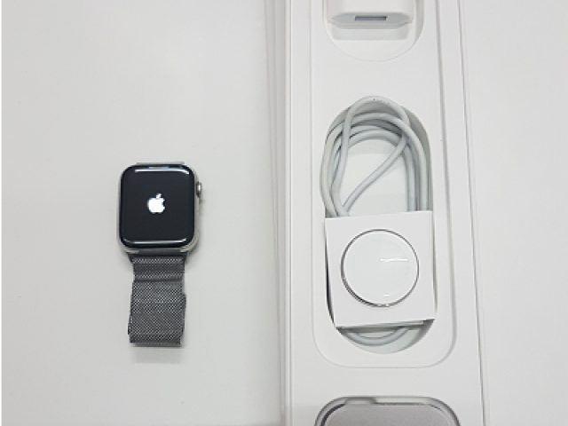 Apple Watch S5 LTE Milanese neuwertig